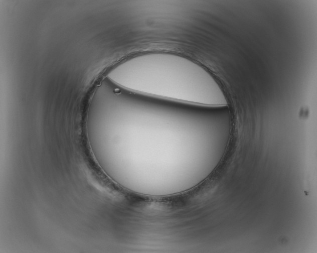 X0000110870303200906181016