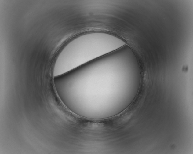 X0000110870304200906181016