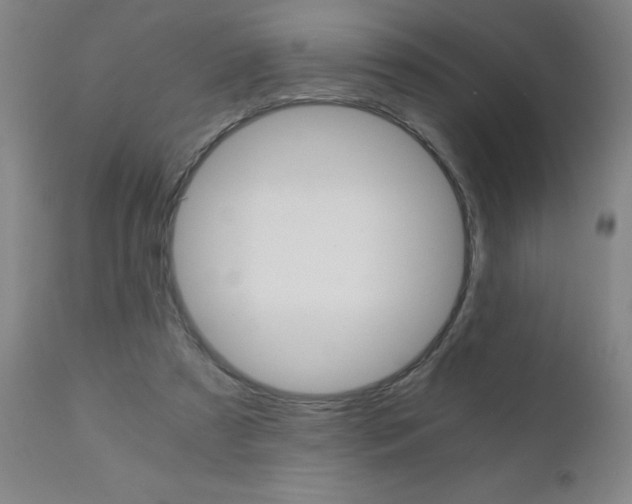 X0000110870305200906181016