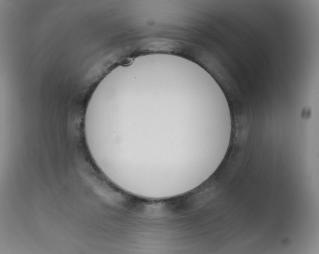 X0000110870309200906181016