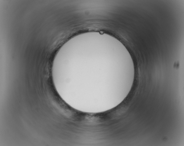 X0000110870311200906181016