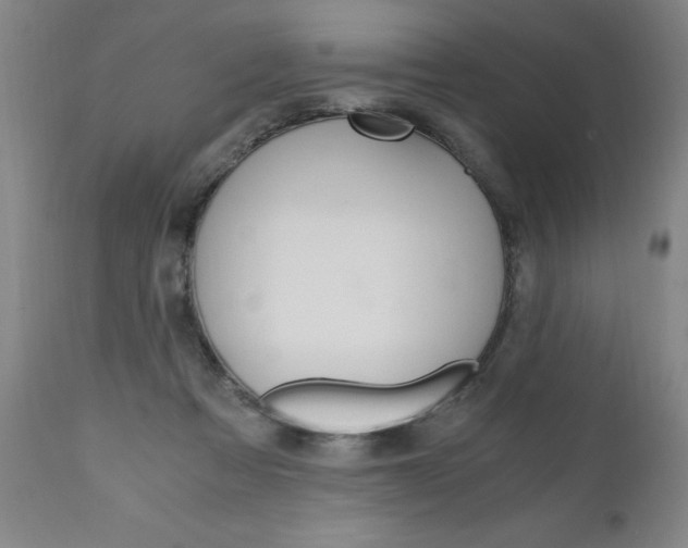 X0000110870313200906181016