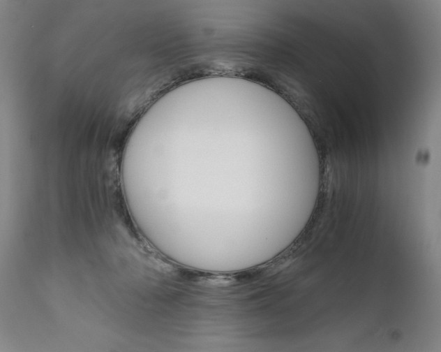 X0000110870318200906181016