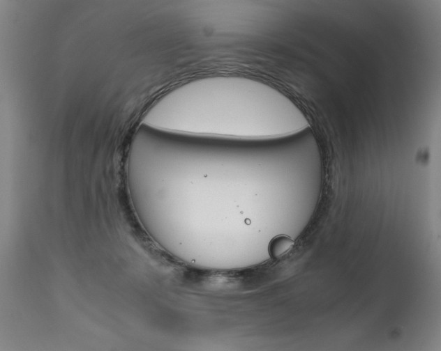 X0000110870319200906181016