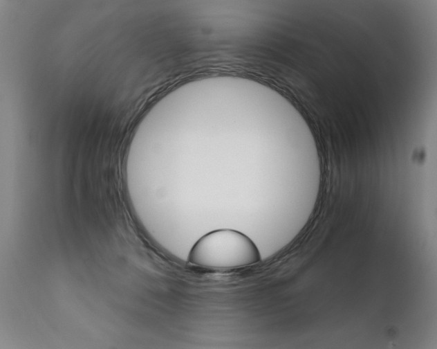 X0000110870320200906181016