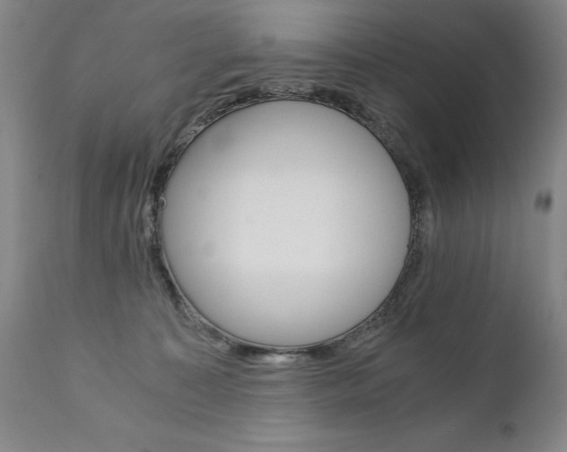 X0000110870323200906181016