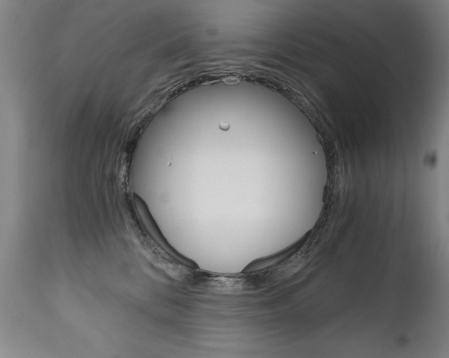 X0000110870328200906181016