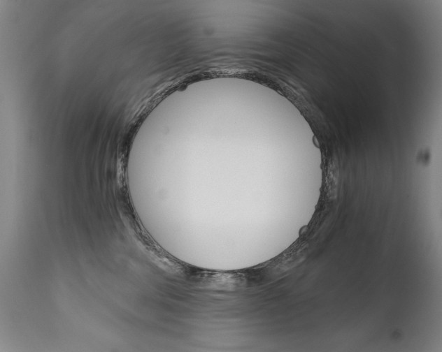 X0000110870330200906181016