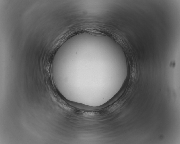 X0000110870332200906181016