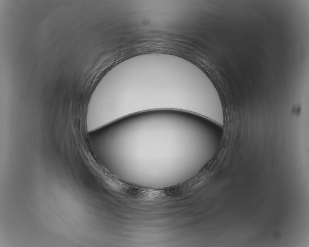 X0000110870333200906181016