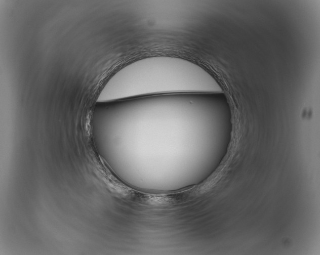X0000110870336200906181016