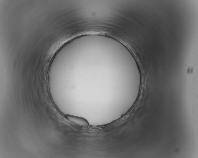 X0000110870337200906181015
