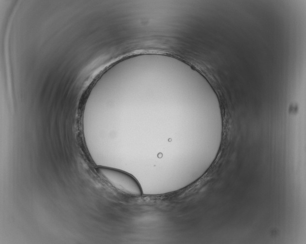 X0000110870338200906181015
