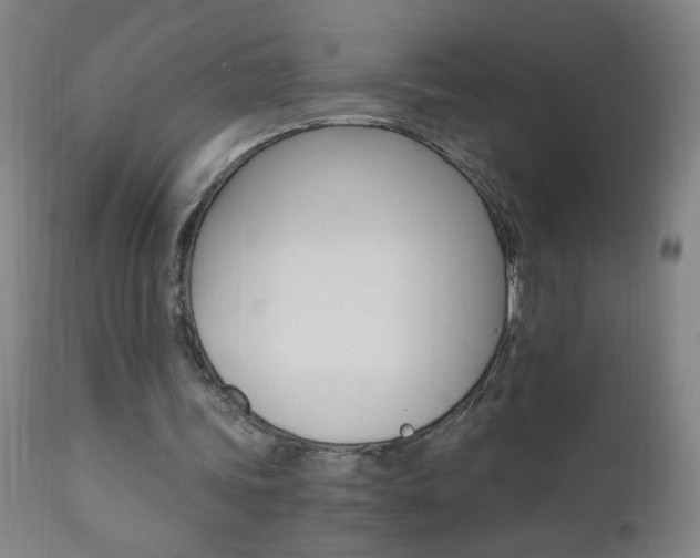 X0000110870339200906181015