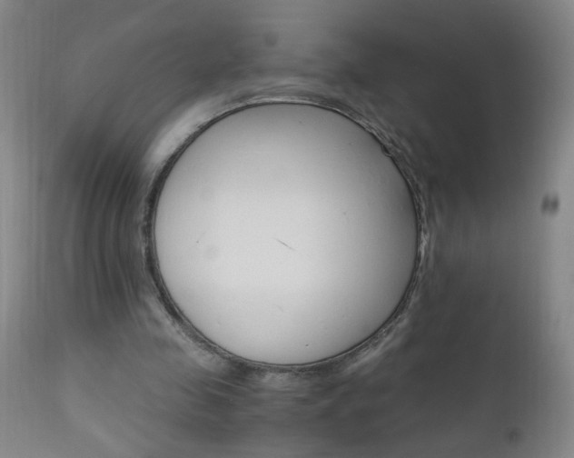 X0000110870341200906181015