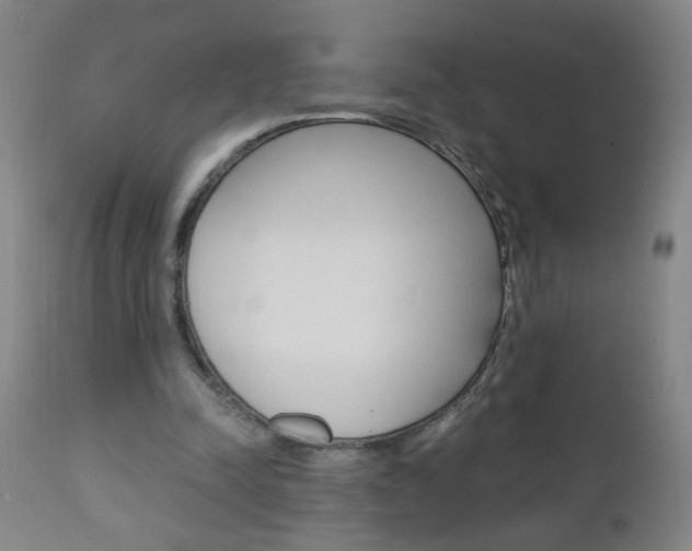 X0000110870342200906181015