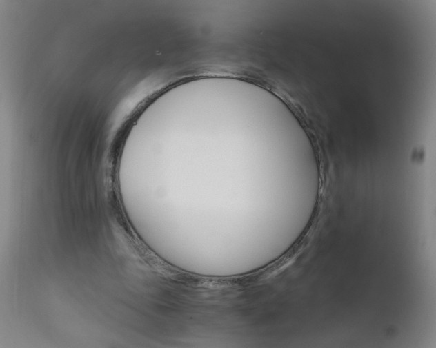 X0000110870343200906181015