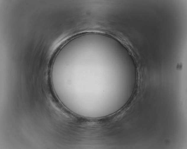 X0000110870344200906181015