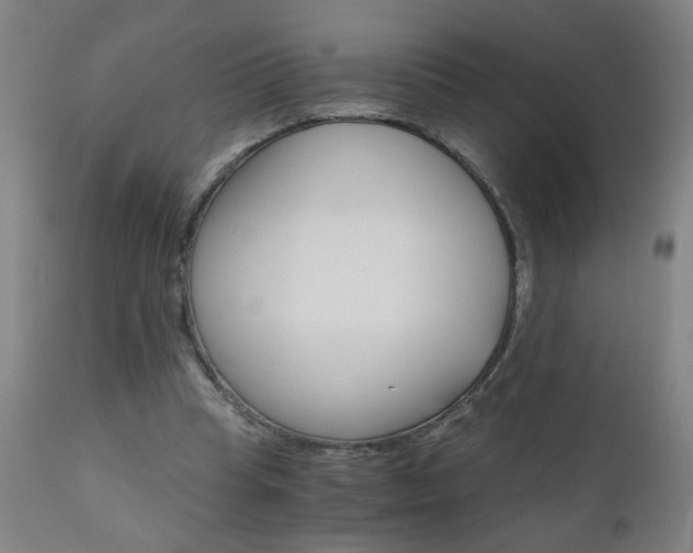 X0000110870345200906181015