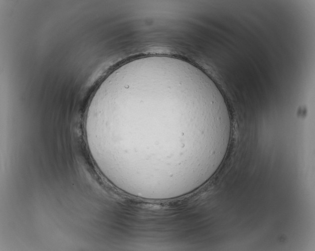 X0000110870347200906181015