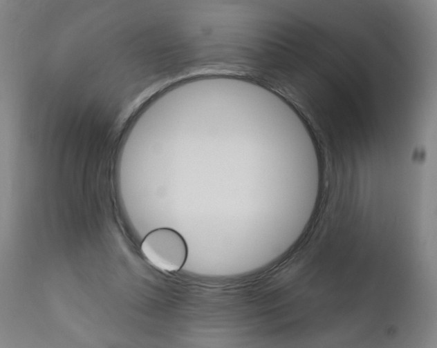 X0000110870348200906181015