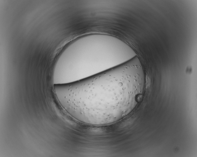 X0000110870349200906181015