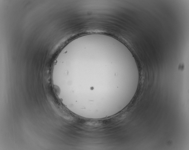X0000110870351200906181015