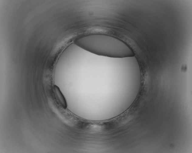 X0000110870352200906181015