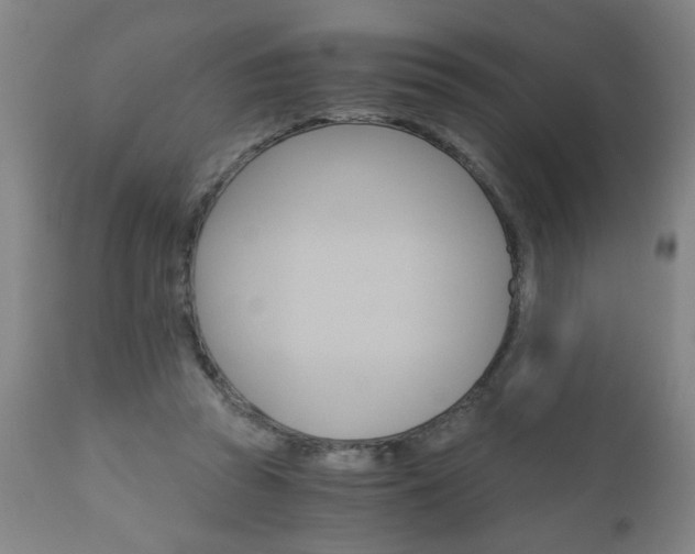 X0000110870353200906181015