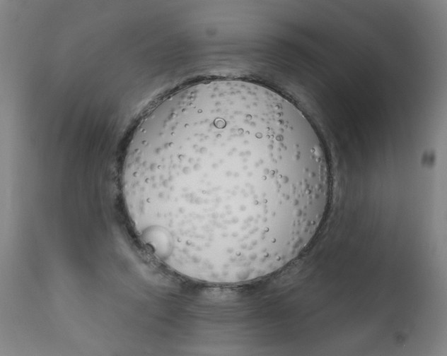 X0000110870354200906181015