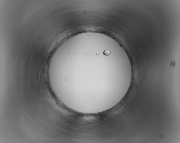 X0000110870357200906181016