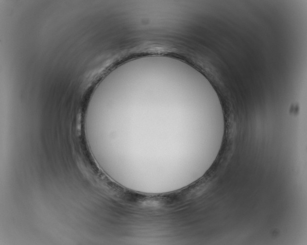 X0000110870358200906181016