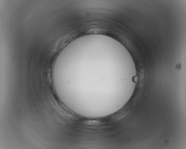 X0000110870361200906181016