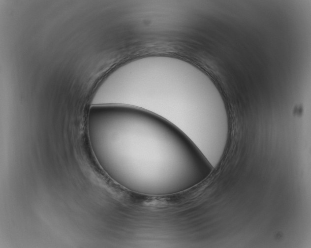X0000110870362200906181016