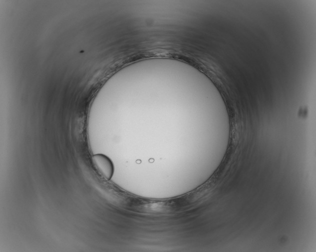 X0000110870365200906181016