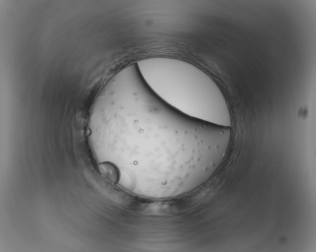 X0000110870366200906181016