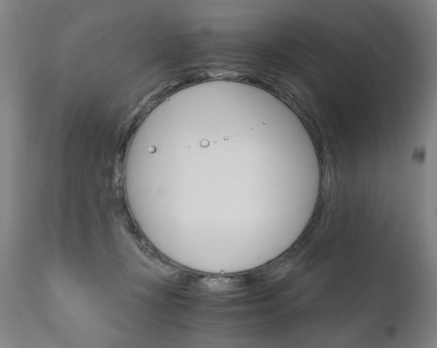 X0000110870367200906181016