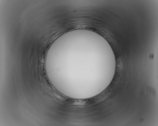 X0000110870369200906181016