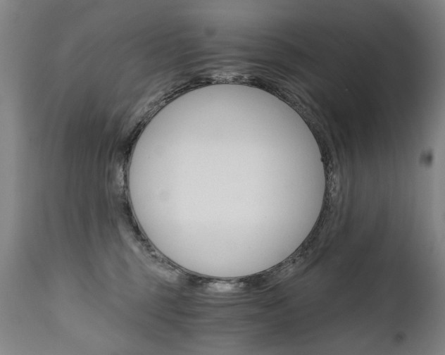 X0000110870375200906181016