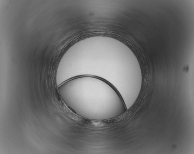 X0000110870376200906181016