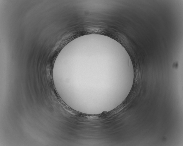 X0000110870377200906181016