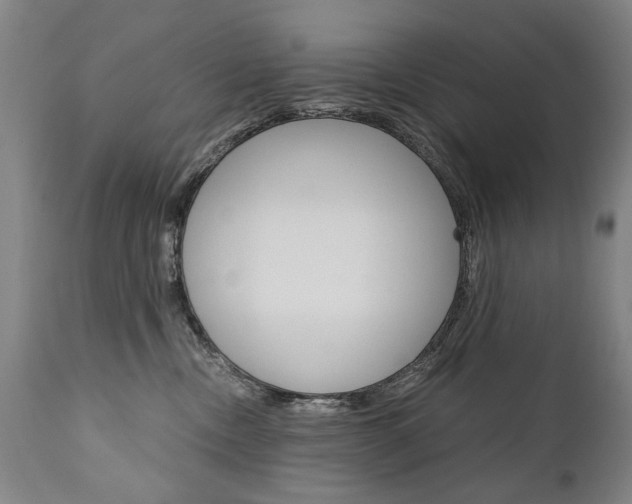 X0000110870378200906181016