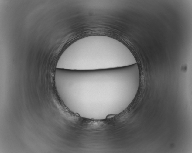 X0000110870379200906181016