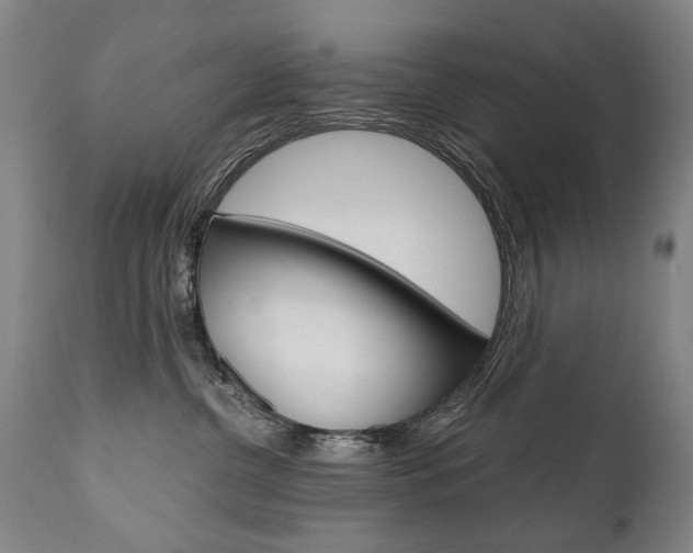 X0000110870380200906181016