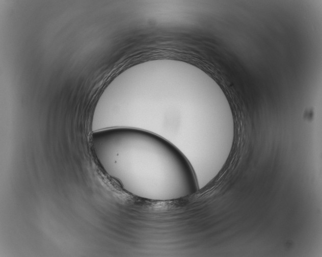 X0000110870382200906181016