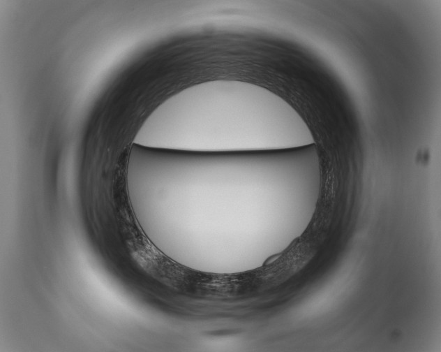 X0000110870383200906181016