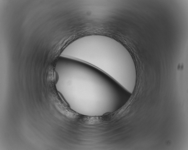 X0000110870384200906181016