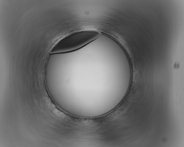 X0000110870385200906181015
