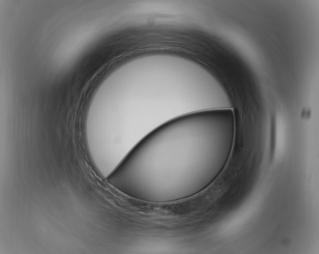 X0000110870387200906181015