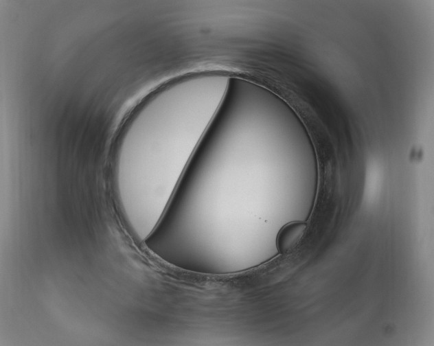 X0000110870388200906181015